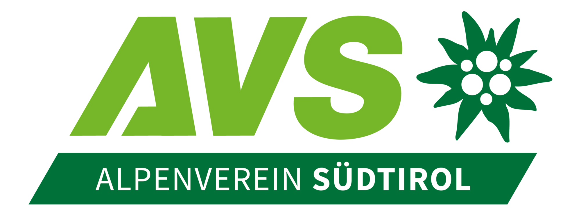 Logo AVS.png